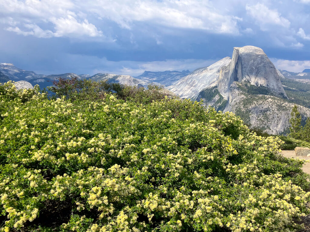 Boom Chalet Yosemite Half Dome from Glacier Point
