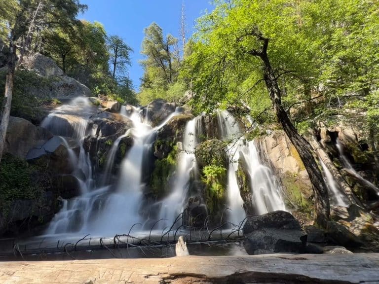 Corlieu Falls - Lewis Creek Trail
