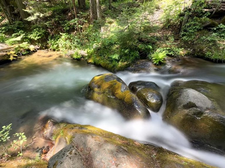 Lewis Creek Trail hike near Yosemite