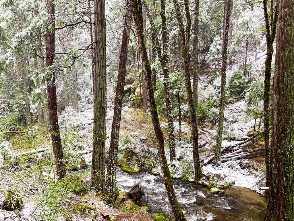 Lewis Creek in Winter