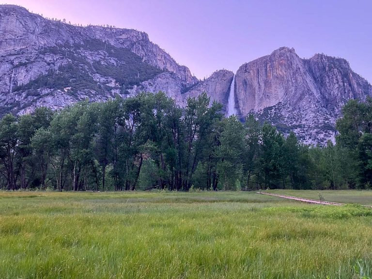 Yosemite Meadow view at dusk