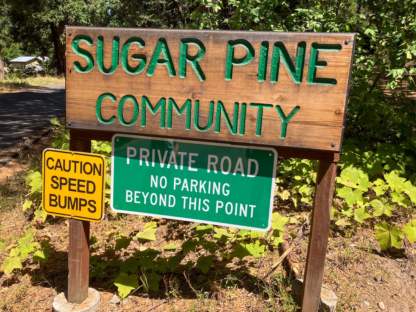 Sugar Pine Yosemite Sign
